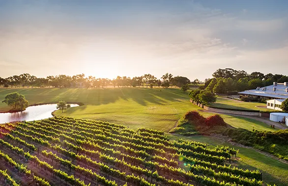 Sandalford Wines